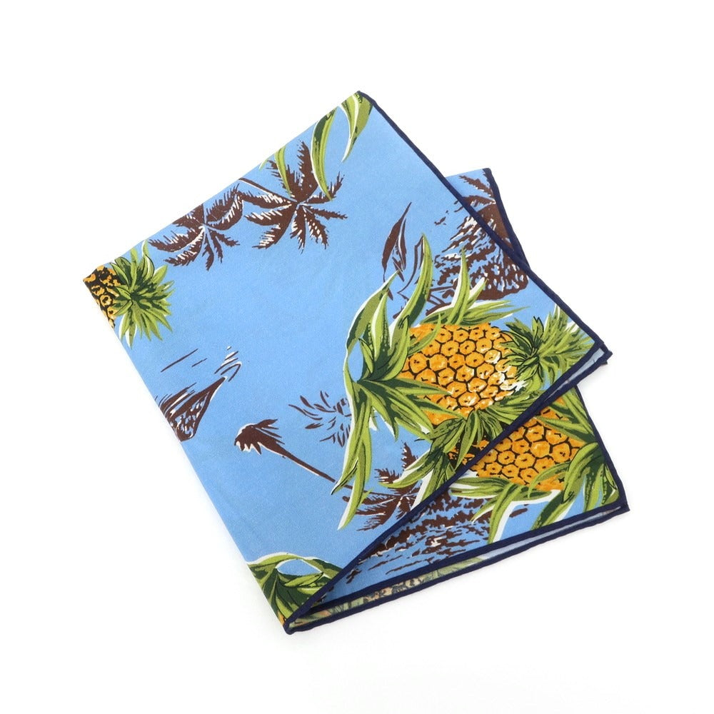 【中古】シーワード& スターン seaward&stearn コットンシルク ポケットチーフ ライトブルーxブラウン【 状態ランクB 】【 メンズ 】