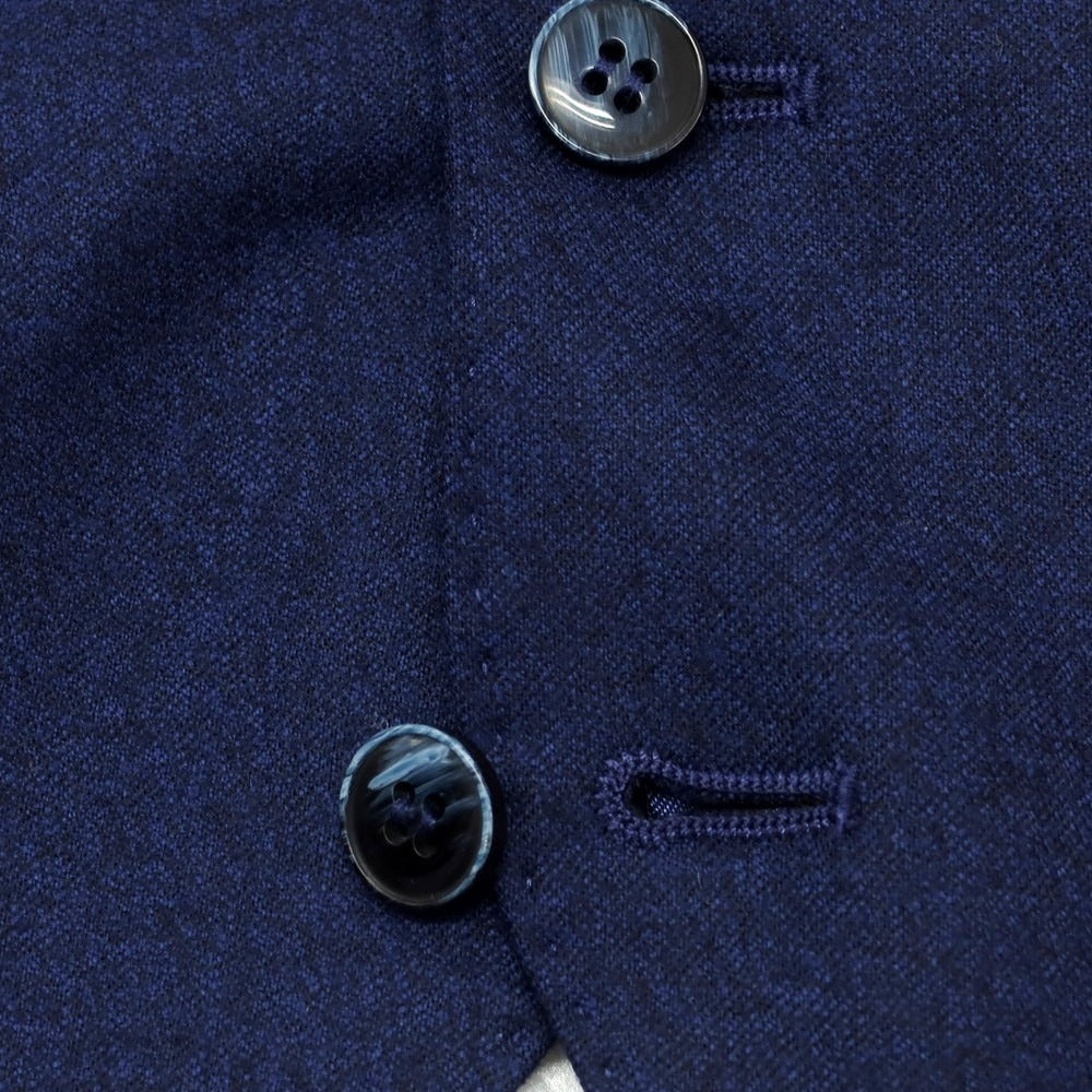 【新品】ルイジ ビアンキ マントヴァ Luigi Bianchi Mantova ウール ドレス系ジレ ベスト ネイビーブルー【 50 】【 状態ランクN 】【 メンズ 】