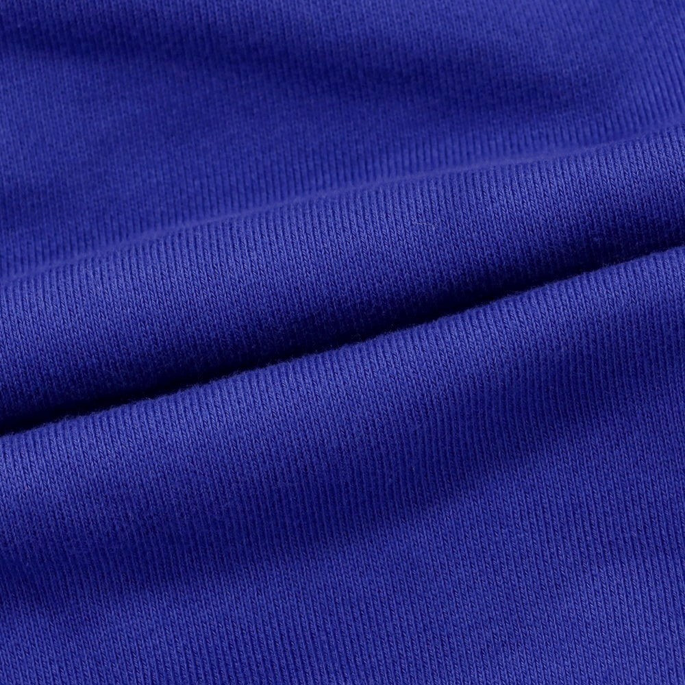 【新品】ディースクエアード DSQUARED2 コットン スウェット プルオーバー パーカー ロイヤルブルー【 M 】【 状態ランクN 】【 メンズ 】