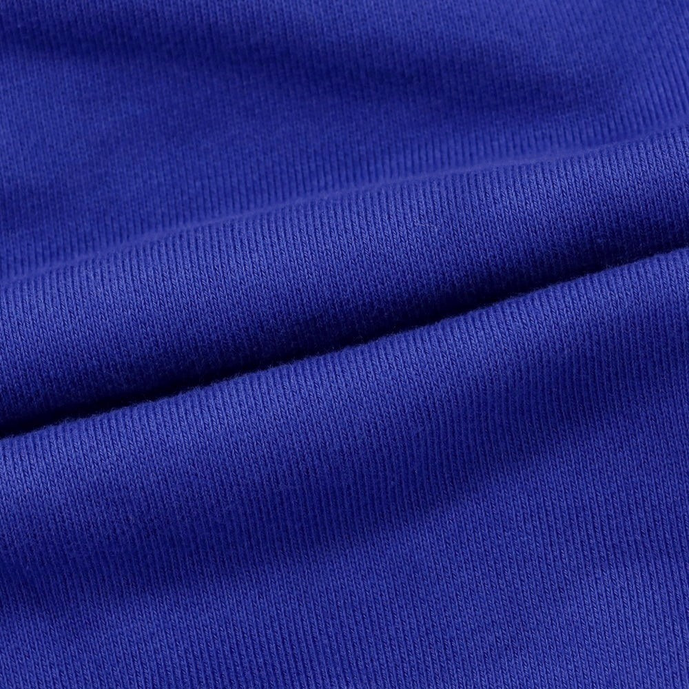 【新品】ディースクエアード DSQUARED2 コットン スウェット プルオーバー パーカー ロイヤルブルー【 L 】【 状態ランクN 】【 メンズ 】