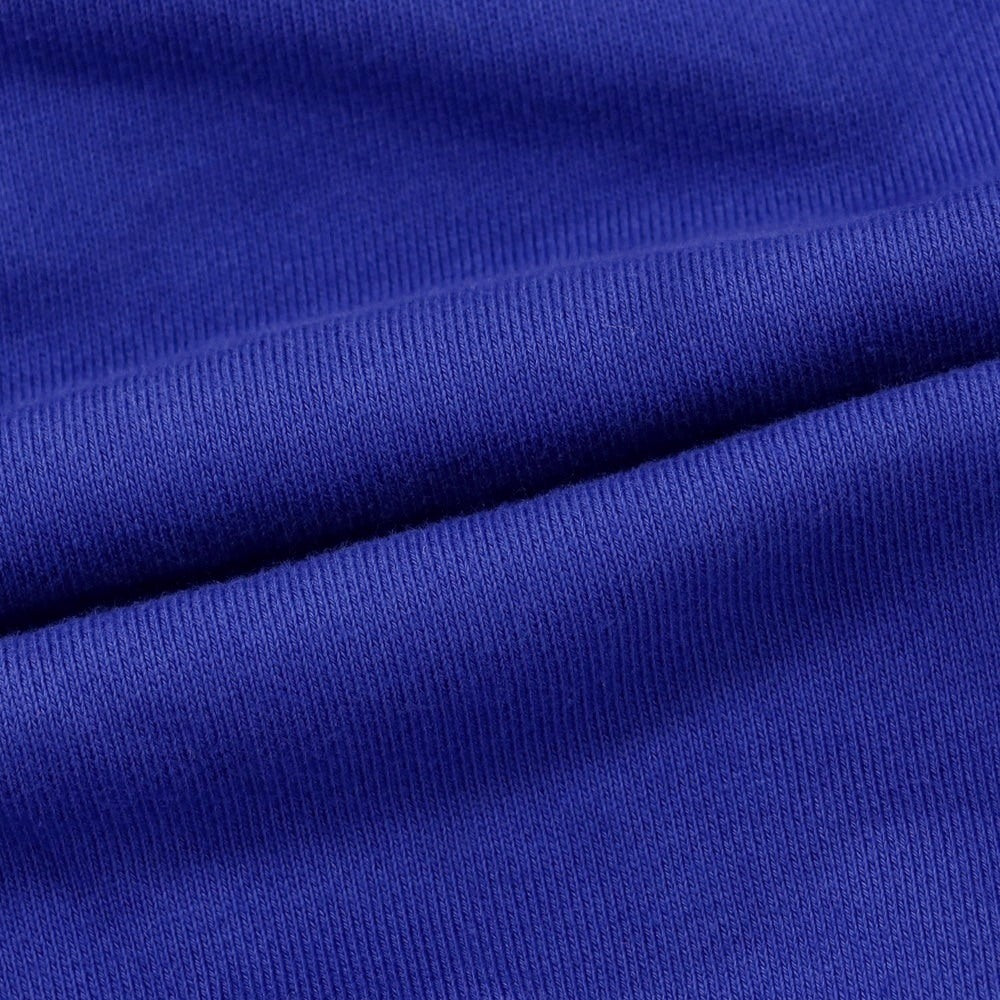 【新品】ディースクエアード DSQUARED2 コットン スウェット プルオーバー パーカー ロイヤルブルー【 L 】【 状態ランクN 】【 メンズ 】