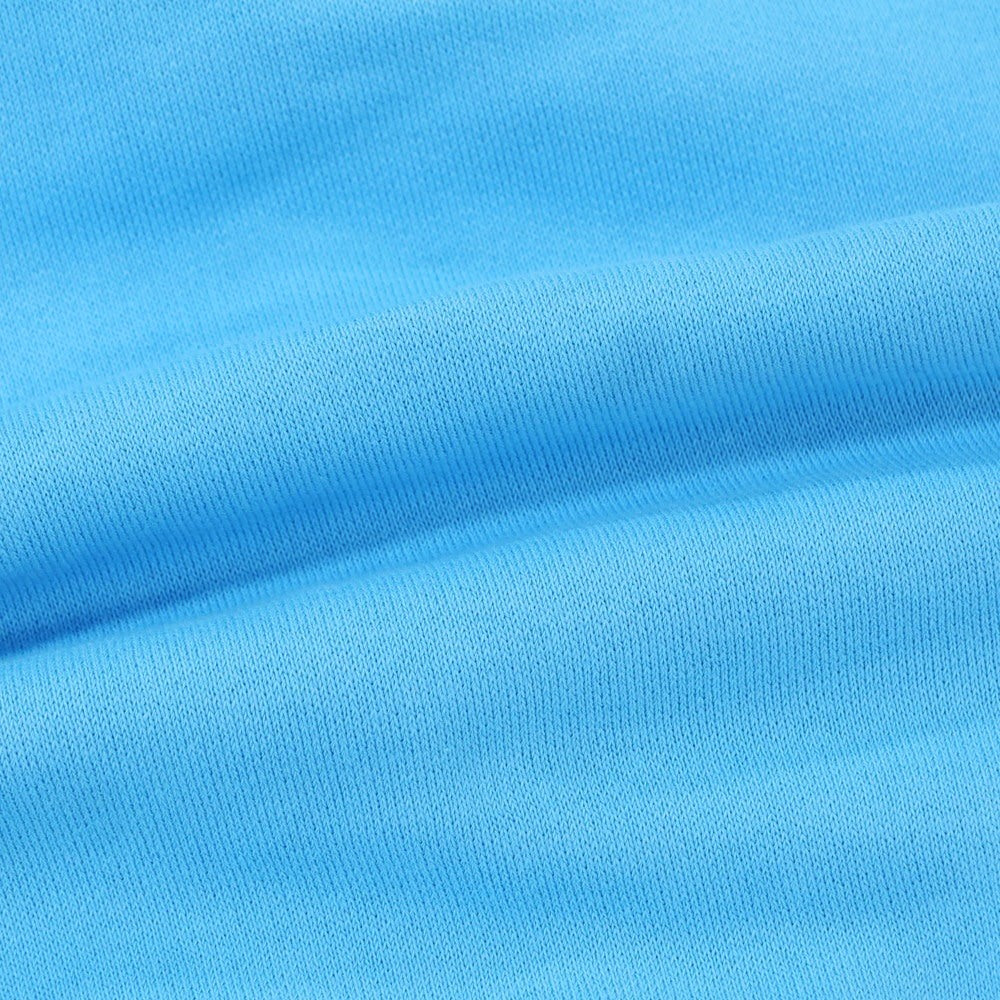 【新品】ディースクエアード DSQUARED2 コットン スウェット プルオーバー パーカー ライトブルー【 L 】【 状態ランクN 】【 メンズ 】