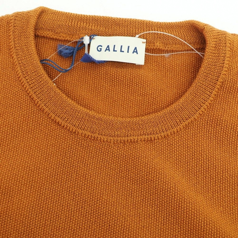 【新品】ガリア GALLIA ウール クルーネック プルオーバーニット オレンジブラウン【 46 】【 状態ランクN 】【 メンズ 】