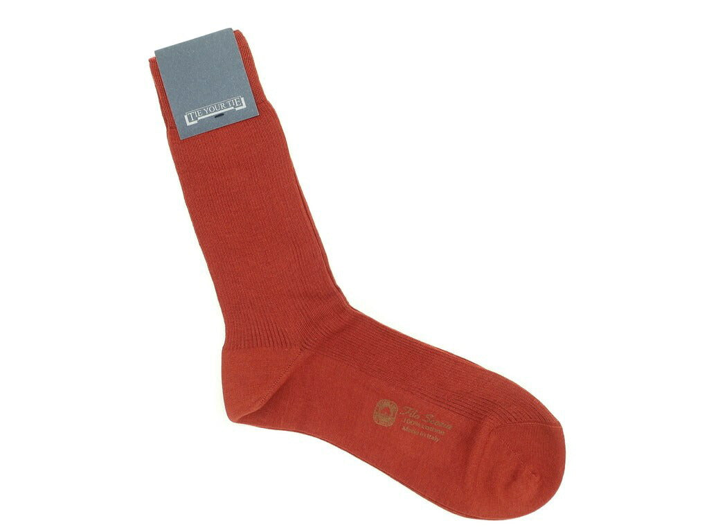 【新品】タイユアタイ TIE YOUR TIE Filo Scozia ホーズソックス テラコッタ【 10.5 】【 状態ランクN 】【 メンズ 】[EPD]