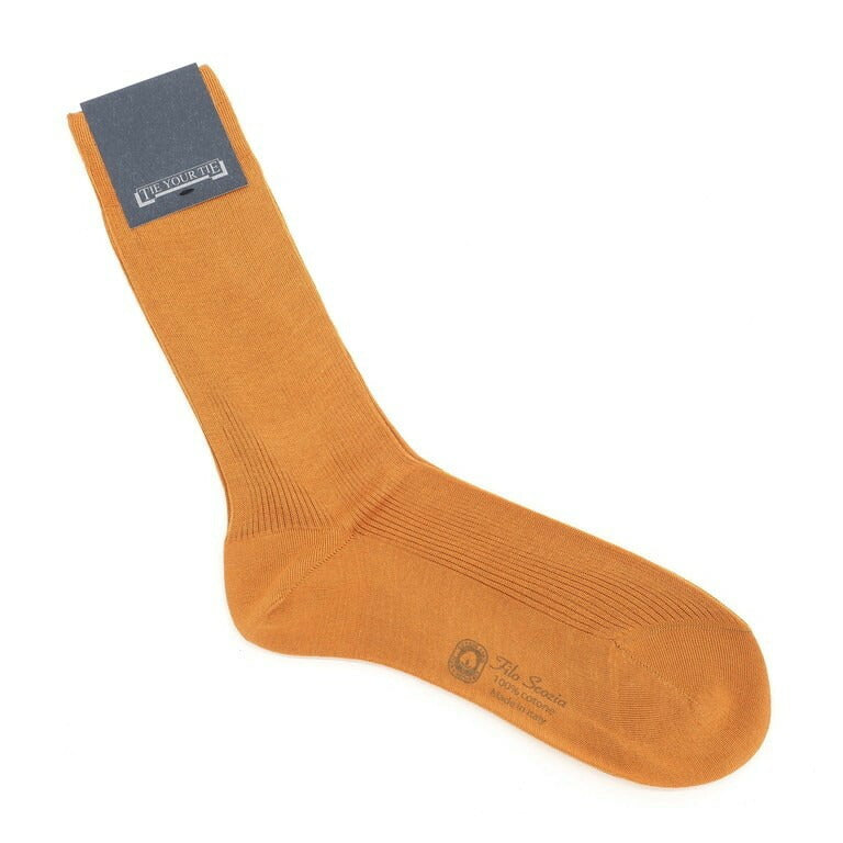 [New] TIE YOUR TIE Filo Scozia Cotton Color Socks Camel [Size 10] [BRW] [S/S/A/W] [Condition Rank N] [Men&