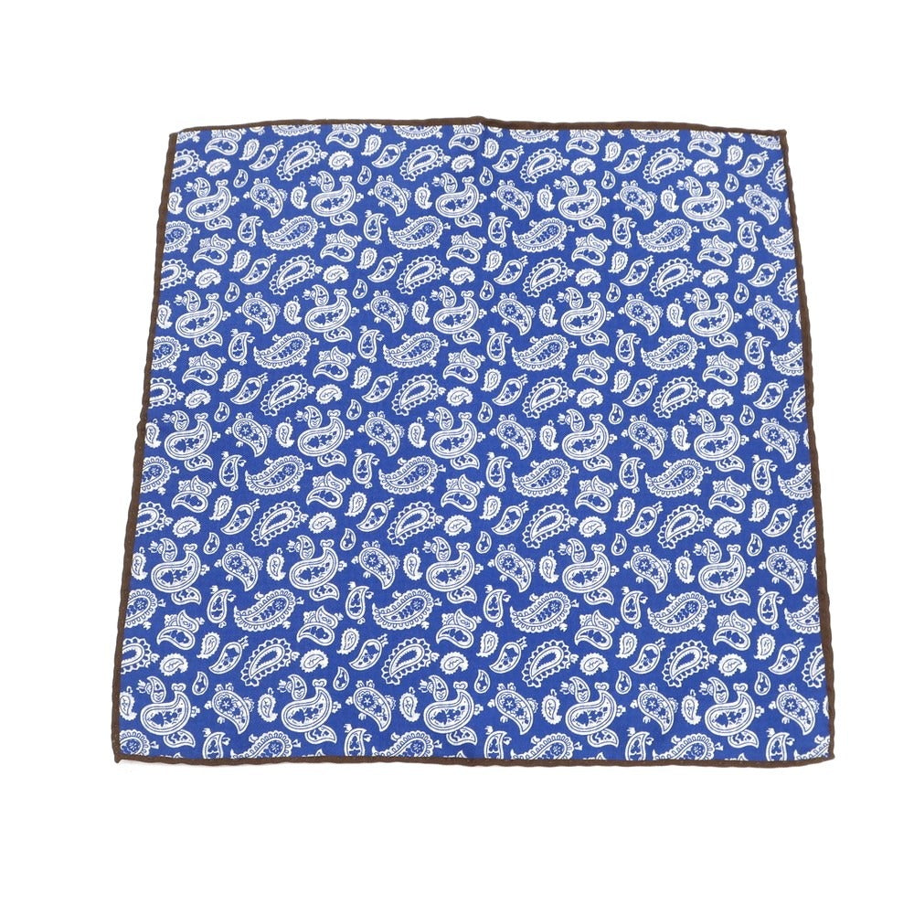 [Used] HOLLIDAY &amp;amp; BROWN Silk Check x Paisley Pocket Square Blue x White [BLU] [S/S/A/W] [Condition Rank A] [Men&