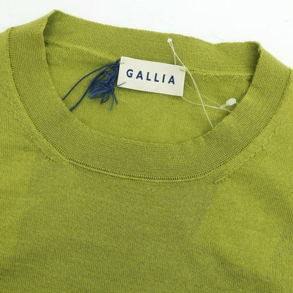 【新品アウトレット】ガリア GALLIA ハイゲージ ウールシルク クルーネック プルオーバーニット グリーン系【 50 】【 状態ランクN- 】【 メンズ 】