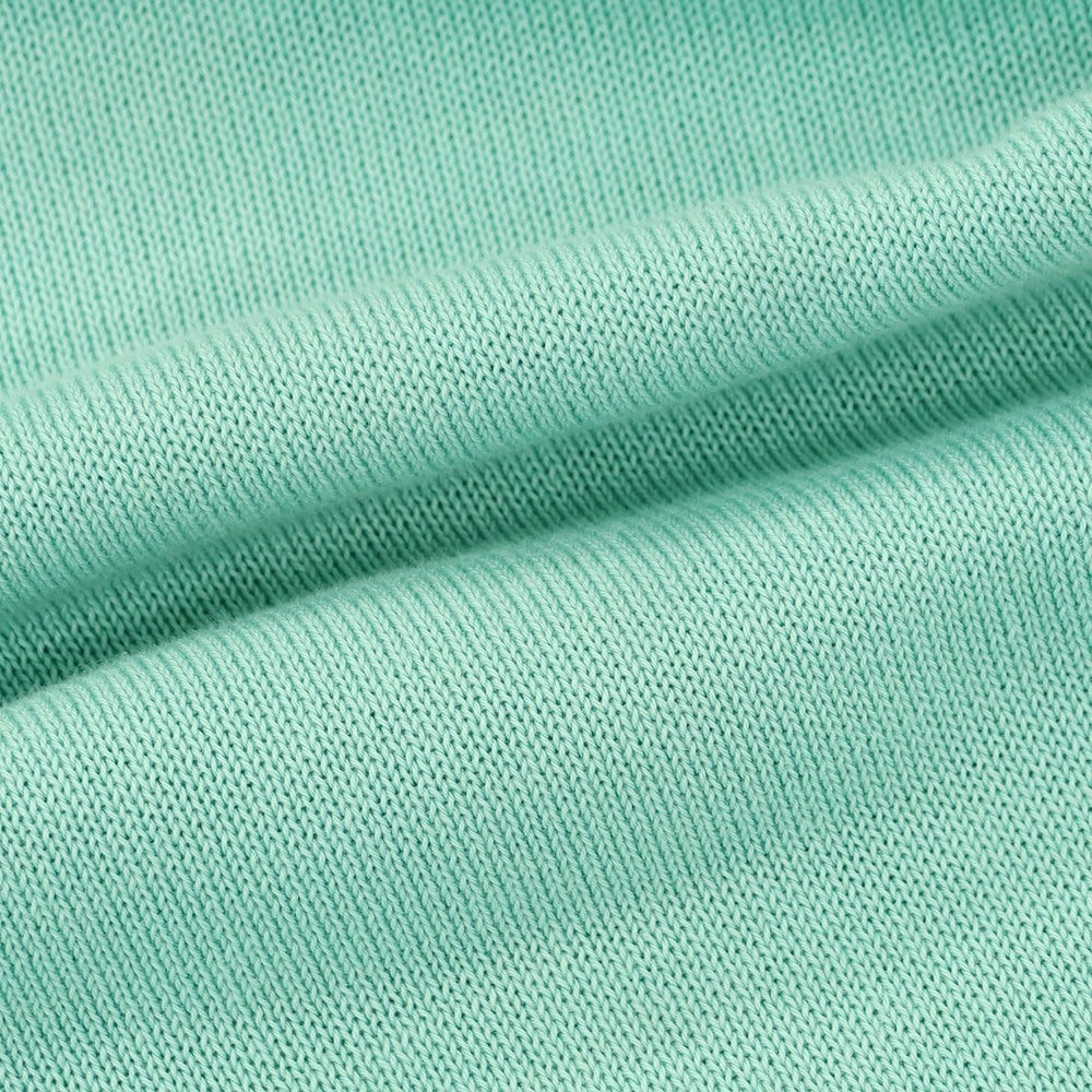 [Used] Filippo de Laurentis FILIPPO DE LAURENTIIS high gauge cotton knit pullover hoodie mint green [50] [Condition rank C] [Men&