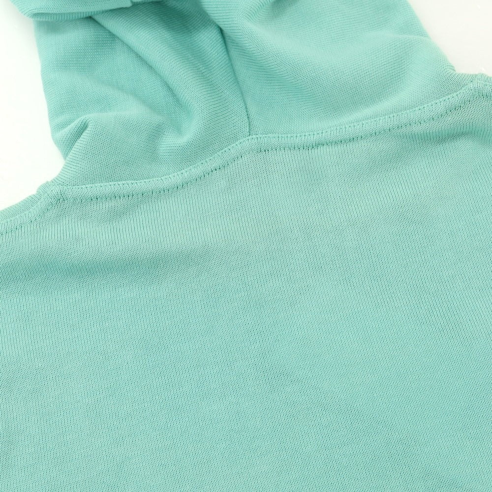 [Used] Filippo de Laurentis FILIPPO DE LAURENTIIS high gauge cotton knit pullover hoodie mint green [50] [Condition rank C] [Men&