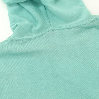 [Used] Filippo de Laurentis FILIPPO DE LAURENTIIS high gauge cotton knit pullover hoodie mint green [50] [Condition rank C] [Men&