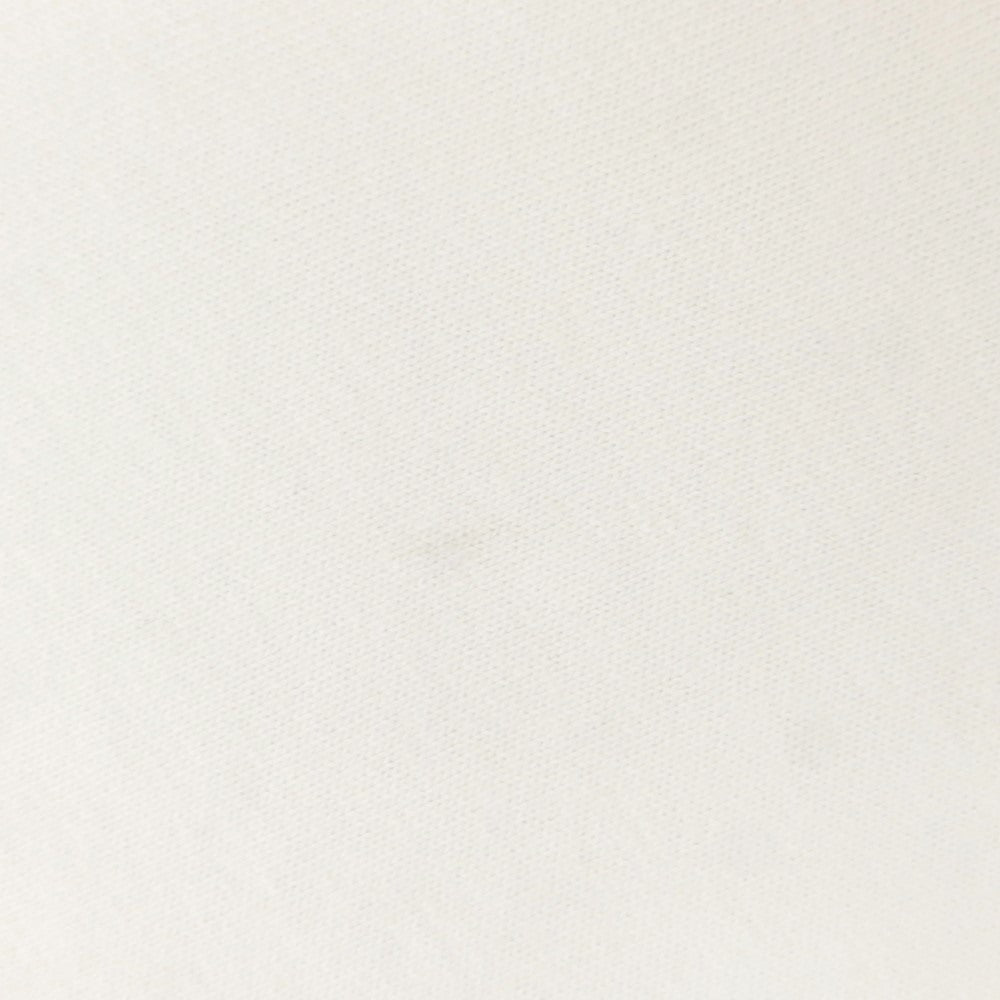 [Used] Champion Cotton Reverse Weave Crew Neck Short Sleeve T-Shirt White [L] [Condition Rank A] [Men&