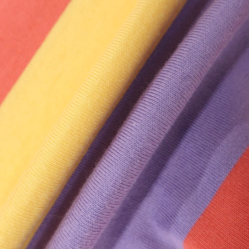 [Used] Luigi Borrelli Cotton Striped Short Sleeve Polo Shirt Multicolor [M] [Condition Rank B] [Men&
