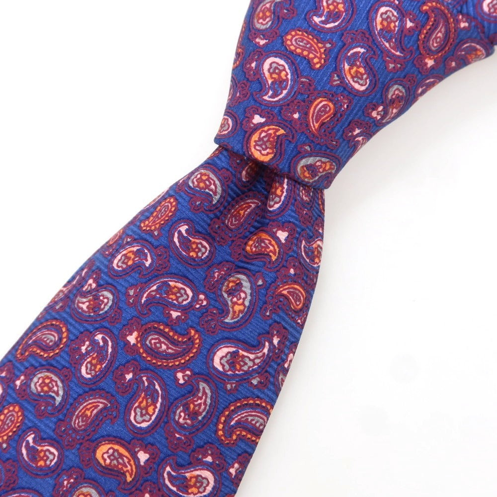 [Used] Luigi Borrelli Silk Paisley Pattern Necktie Blue x Purple [Condition Rank B] [Men&