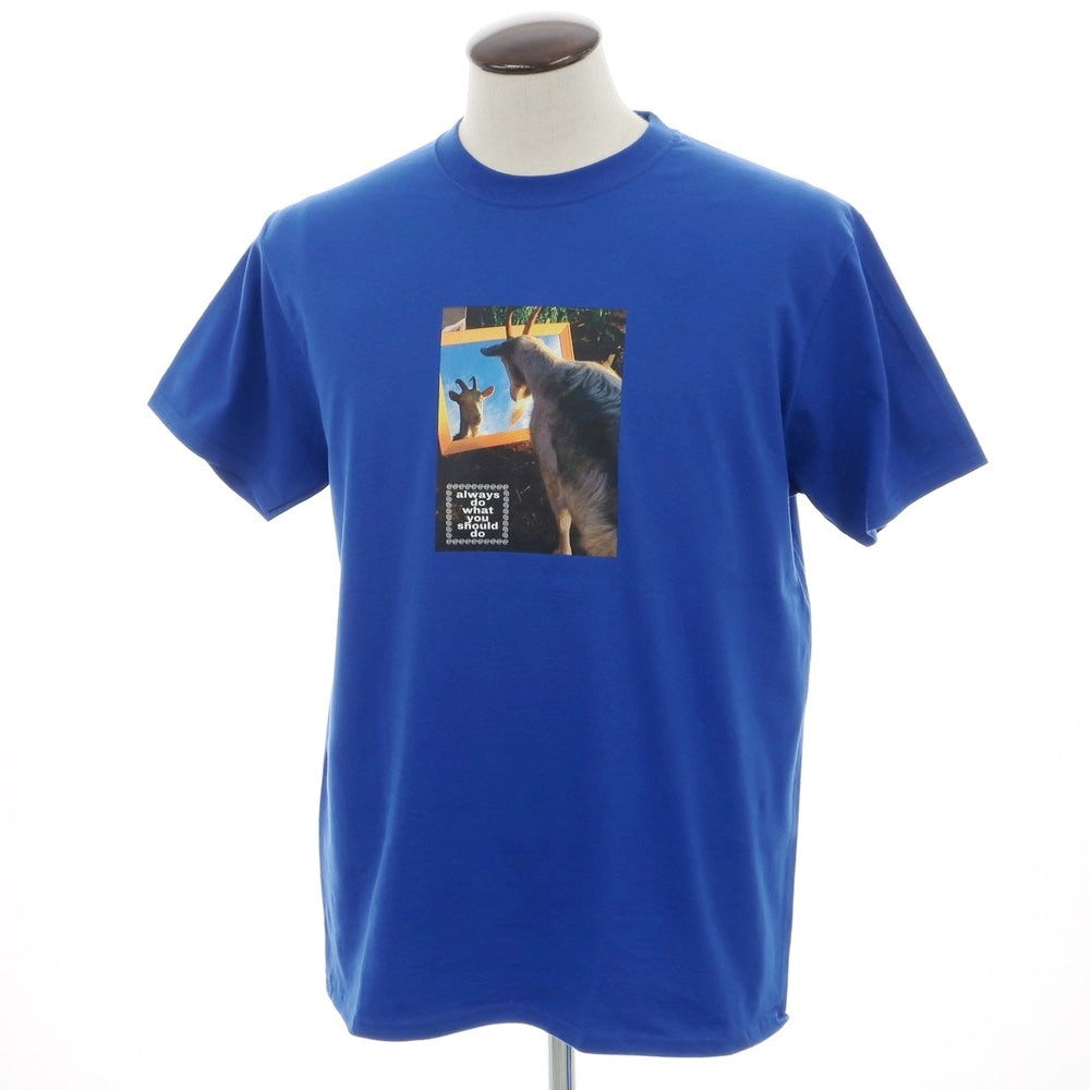 [Used] ALWAYS DO WHAT YOU SHOULD DO Cotton crew neck short sleeve T-shirt Blue [L] [Condition Rank A] [Men&