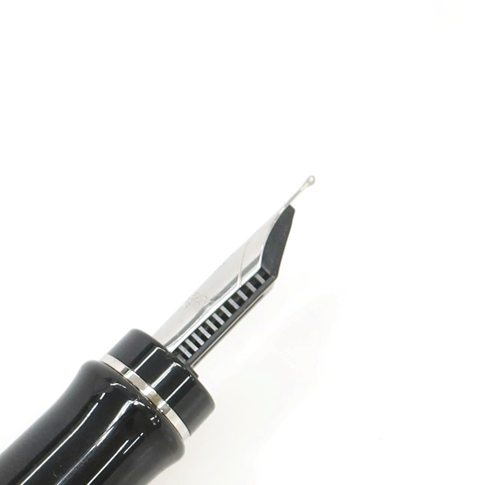 【中古】ウォーターマン WATERMAN エキスパート プレシャスBT 万年筆 ブラックxシルバー【 状態ランクA 】【 メンズ 】[CPD]