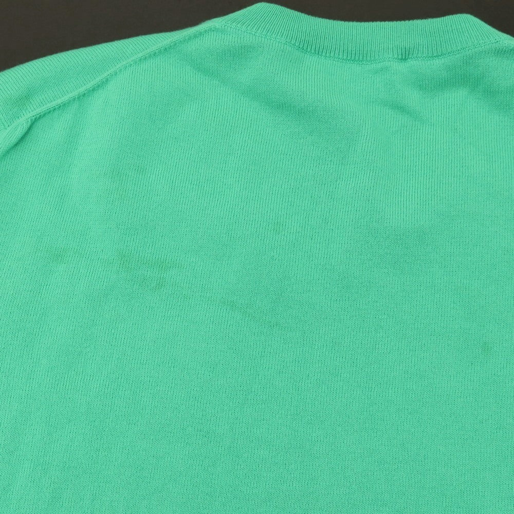 【中古】セッテフィーリ カシミア Settefili Cashmere コットン Vネック プルオーバーニット エメラルドグリーン【サイズ46】【 状態ランクB 】【 メンズ 】
