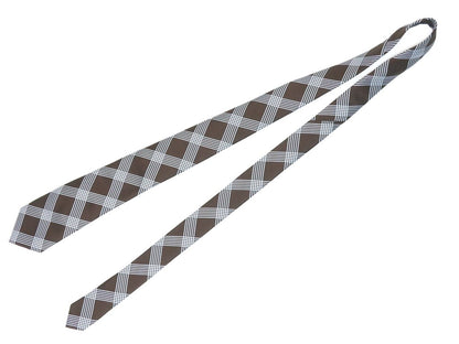 [Used] SHIPS Checkered Necktie
 
Brown x Sax [BRW] [S/S/A/W] [Condition Rank A] [Men&