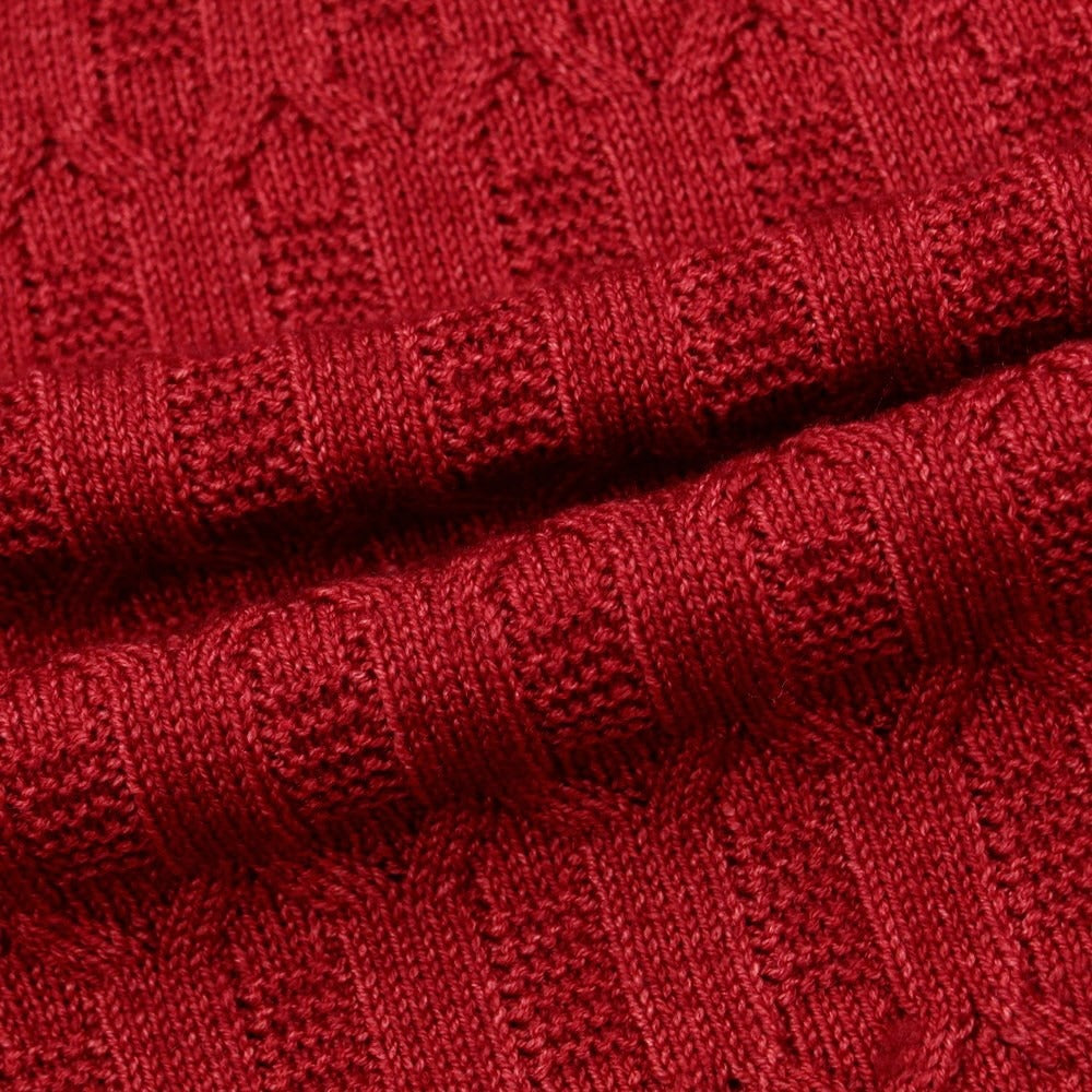 [New] TAGLIATORE Wool Turtleneck Knit Dark Red [Size 50] [RED] [A/W] [Condition Rank N] [Men&