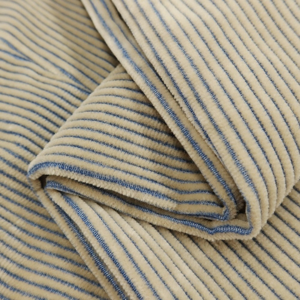 [New] PT TORINO Cotton Wide Ribbed Corduroy Pants Slacks Beige x Blue [Size 48] [BEI] [A/W] [Condition Rank N] [Men&