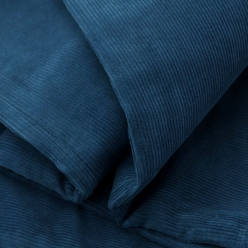 [New] PT TORINO DENIM SWING Cotton Corduroy 5 Pocket Pants Dark Peacock [Size 34] [BLU] [A/W] [Condition Rank N] [Men&