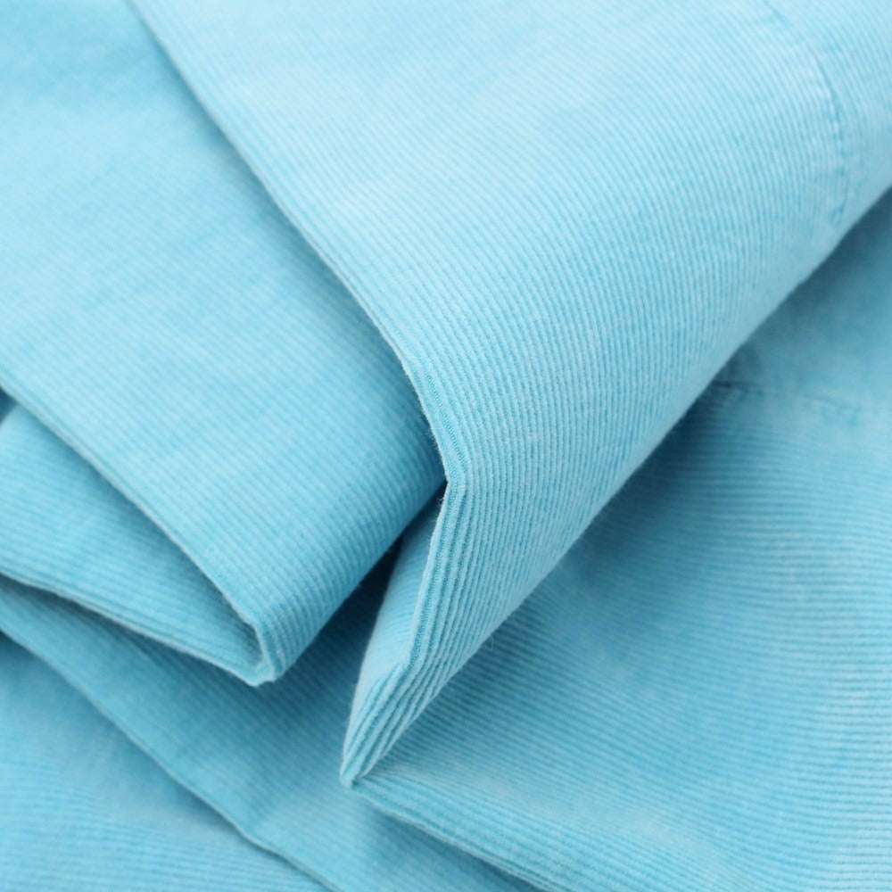 [New] PT TORINO ReWorked Cotton Corduroy Pants
 Light blue [Size 30] [BLU] [A/W] [Condition rank N] [Men&